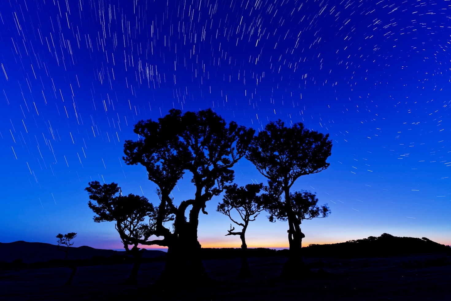 The Best Locations for Stargazing Adventures
